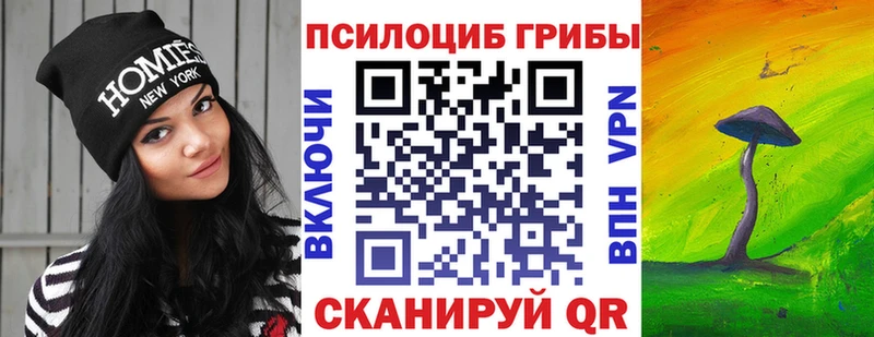 Галлюциногенные грибы GOLDEN TEACHER купить наркоту площадка клад Новоузенск KRAKEN маркетплейс