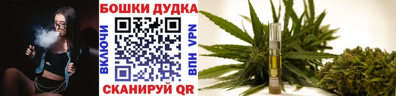 Бошки марихуана семена  Новоузенск 